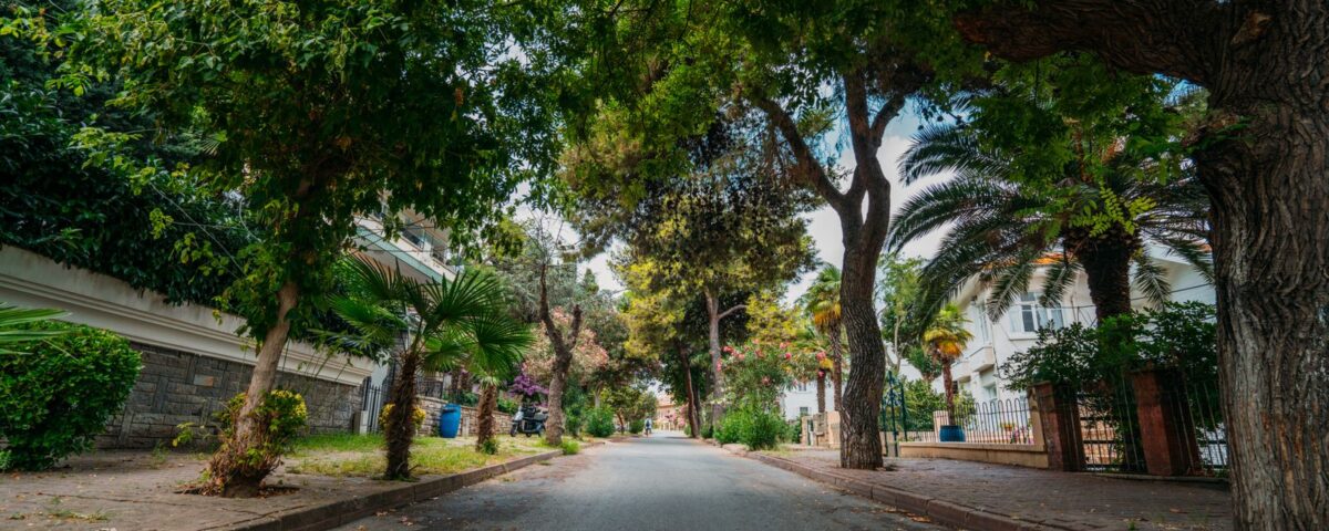 Morar no Horto Florestal: Guia Completo do Bairro em Salvador