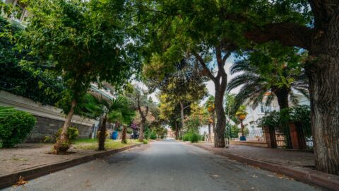 Morar no Horto Florestal: Guia Completo do Bairro em Salvador