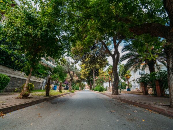 Morar no Horto Florestal: Guia Completo do Bairro em Salvador